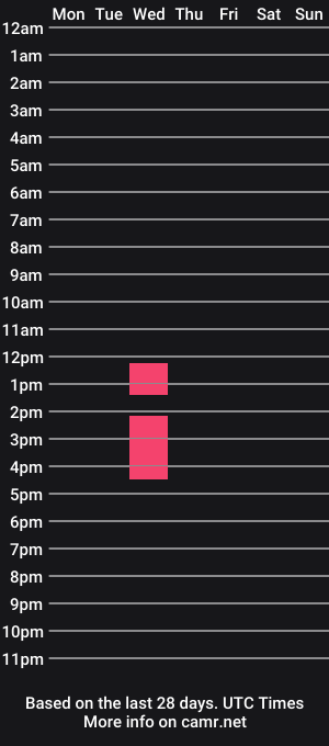 cam show schedule of a1examiller