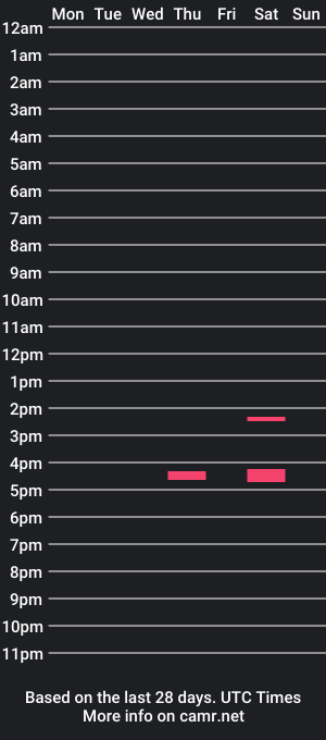 cam show schedule of bigfunhunguy