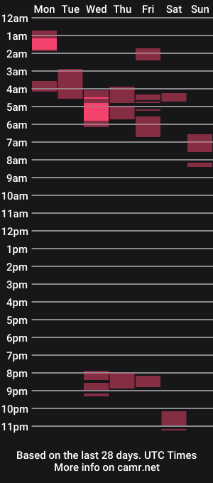 cam show schedule of bigndthick19