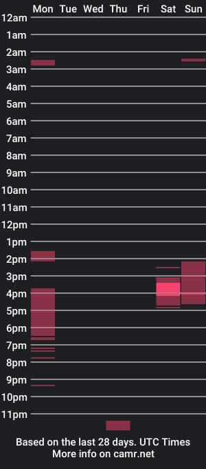 cam show schedule of bigrigg84