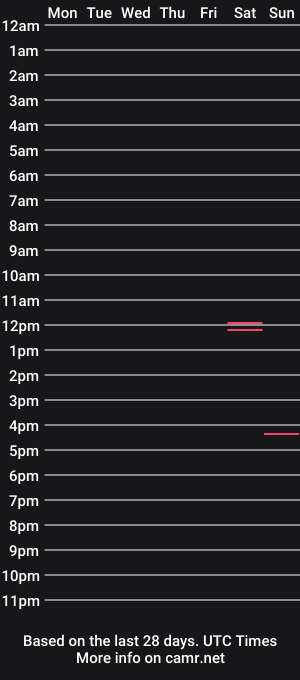 cam show schedule of bigtoywendysissy