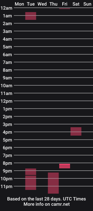 cam show schedule of dsswitch