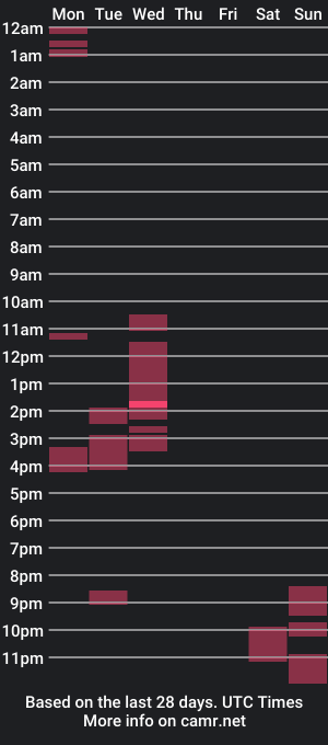 cam show schedule of machine_anal