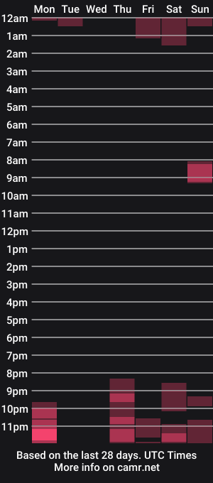 cam show schedule of nic6413