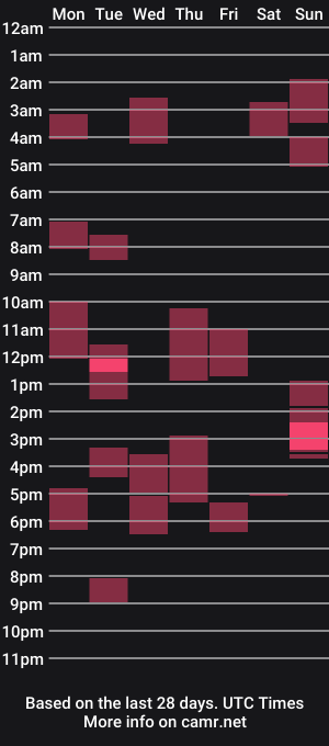 cam show schedule of richard_bi