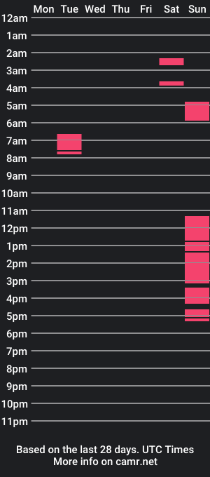 cam show schedule of tt999flyer