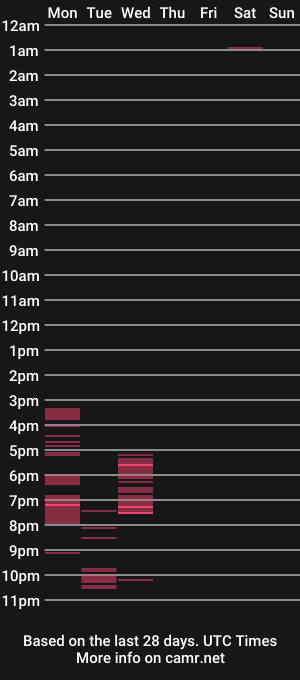 cam show schedule of wellheynow