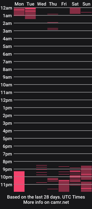 cam show schedule of wetdream221