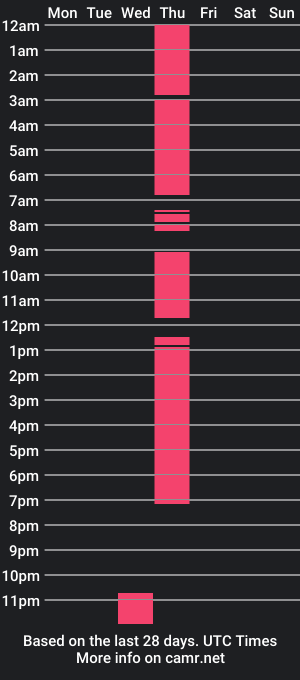 cam show schedule of xbigdick333