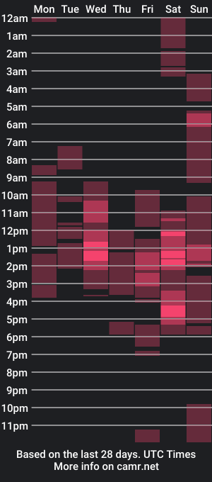 cam show schedule of xsexyninedollx